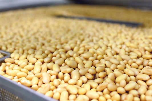 Steamed Bean Secrets